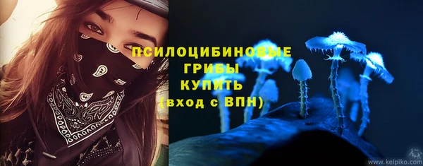 гашик Абаза