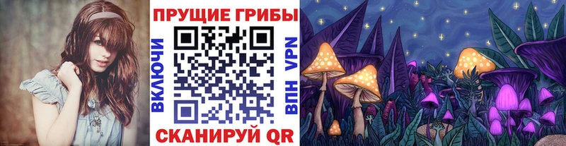 купить Ленинградская Псилоцибиновые грибы MAGIC MUSHROOMS